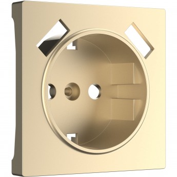 Накладка WERKEL W1179511 для USB розетки, шампань