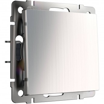 Выключатель одноклавишный WERKEL WL02-SW-1G-2W проходной, глянцевый никель